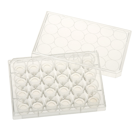 CELLTREAT Glass Bottom Tissue Culture Plate, 10mm Glass, Sterile, 24-Well 229125